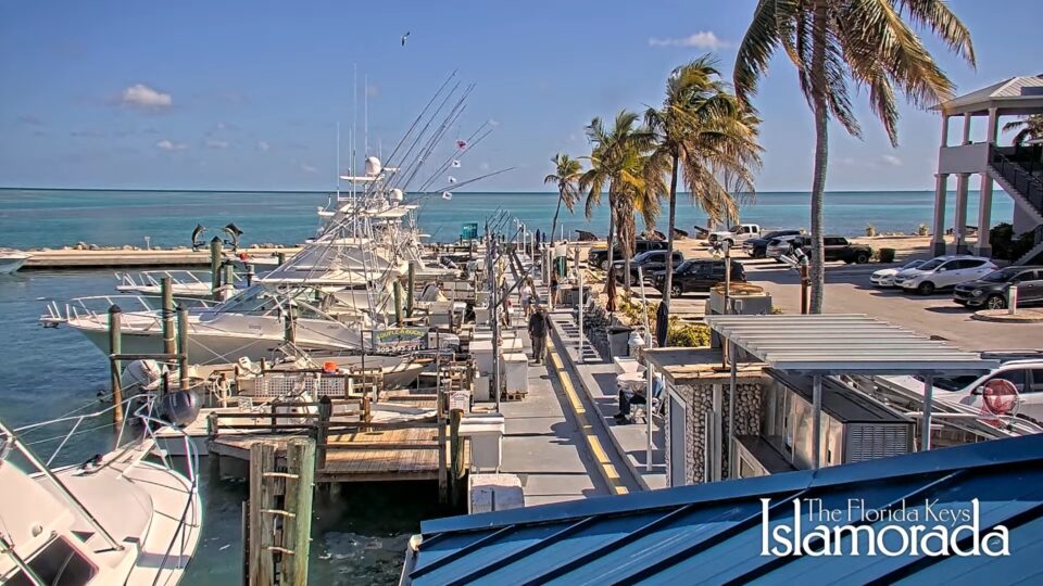 Whale Harbor Live Webcam – Islamorada, Florida Keys