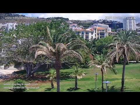 Praia Formosa Beach live webcam view showing black sand beach and ocean in Madeira Portugal