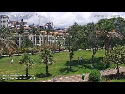 Live view of Madeira Airport runway with planes and scenic mountainous background
