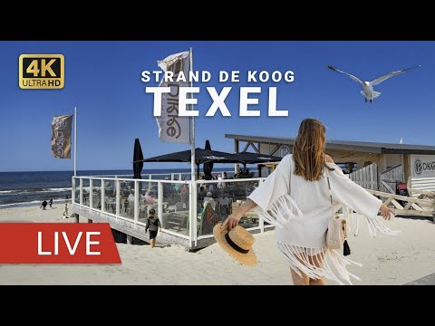 Live webcam view of Paal 17 Beach with sandy shore and sea in North Holland Netherlands