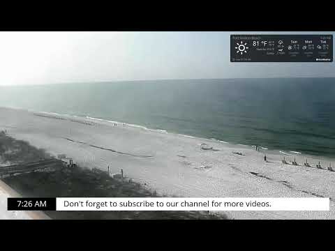 Wyndhan Garden lush greenery and colorful flowers live webcam view in Florida