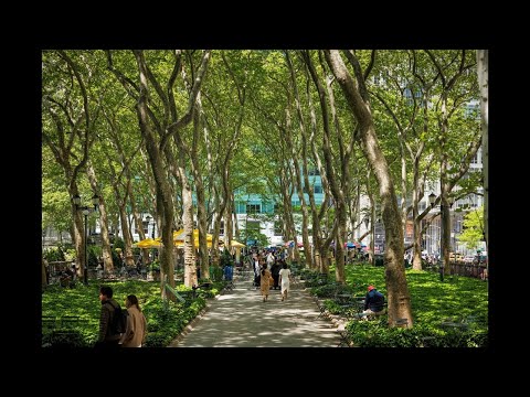 Bryant Park Skate Cam showing ice skating rink and New York City skyline live