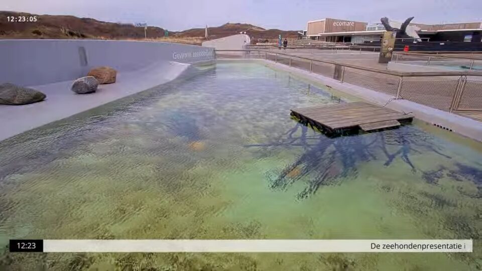 Ecomare Seal Sanctuary Live Webcam, Texel