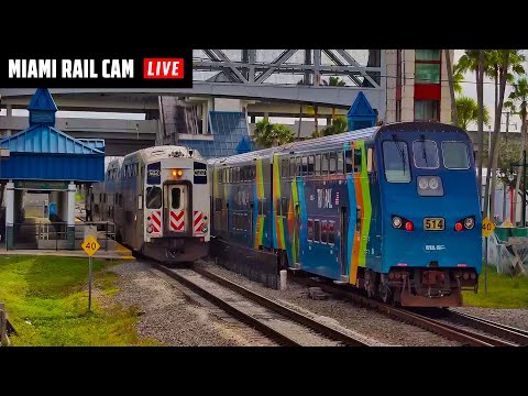 Hialeah Metrorail Transfer Station live view showing trains and commuters in Florida