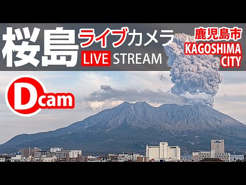 Live view of Sakurajima active volcano from Tarumizu with smoke plume and lush landscape