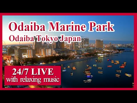 Live view of Tokyo Bay with ships and planes traffic in Japan's capital city