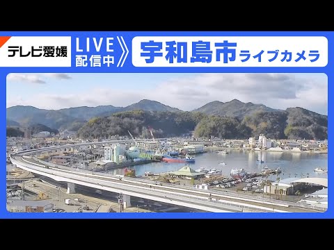 Uwajima city scenic view from live webcam showing traditional Japanese architecture and waterfront