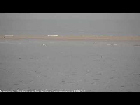 Live webcam view of Haven van Renesse harbor with boats and waterfront in Renesse Aan Zee Netherlands