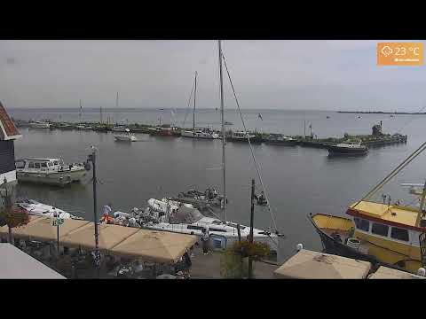 Haven Live Webcam showing vibrant harbor and boats in Edam Volendam Netherlands
