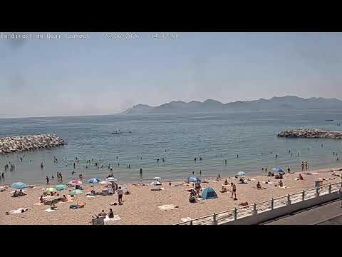 Live view of Quai Laubeuf marina with yachts and palm trees in Cannes France